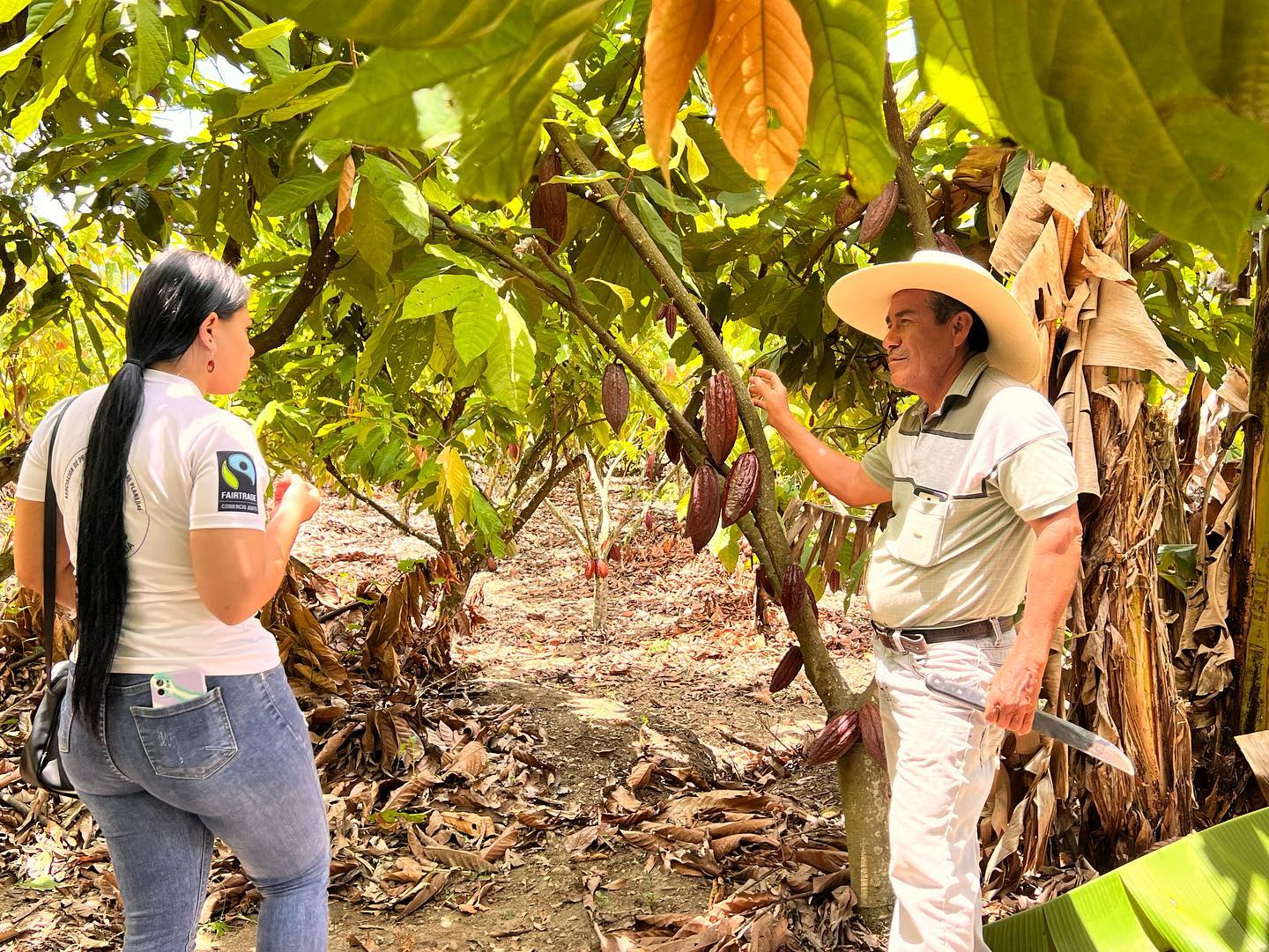 Coffee Farmers In Tolima Who Export Coffee And Cocoa To More Than Seven Countries In The World