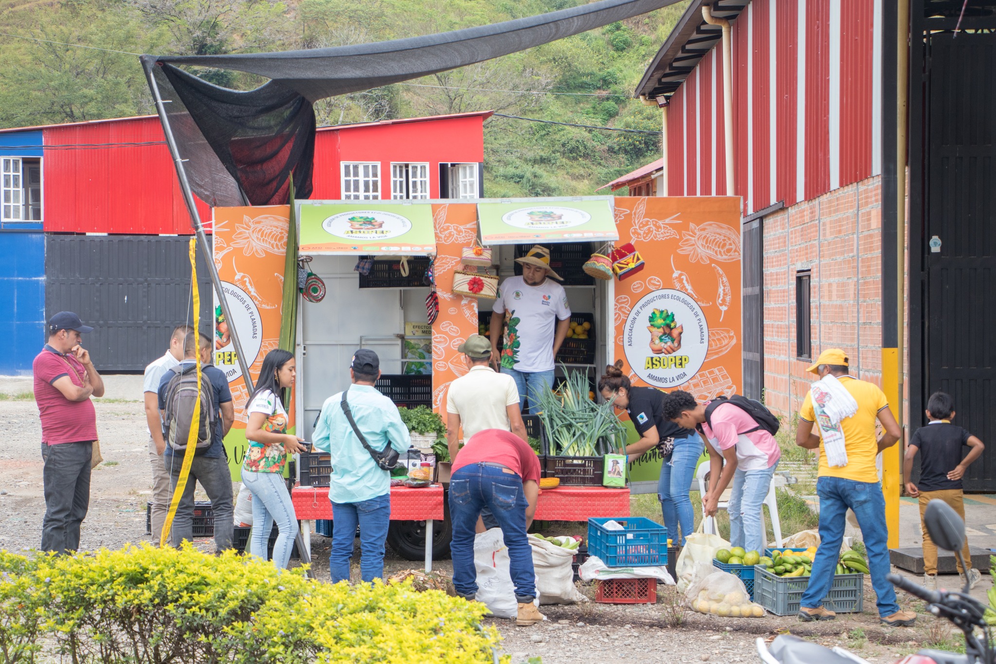 Coffee Farmers In Tolima Who Export Coffee And Cocoa To More Than Seven Countries In The World