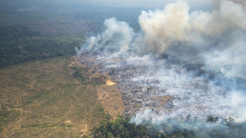 Científicos pronostican que los incendios forestales serán más frecuentes e intensos, en un 30 %, para fines del 2050