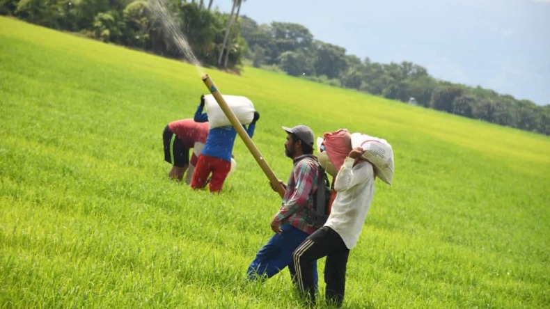 Campesinos podrán adquirir fertilizantes y abonos orgánicos a bajo costo en el Tolima