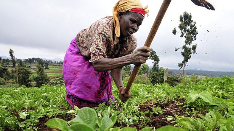 Emprendedores rurales podrán acceder a nueva línea de microcrédito
