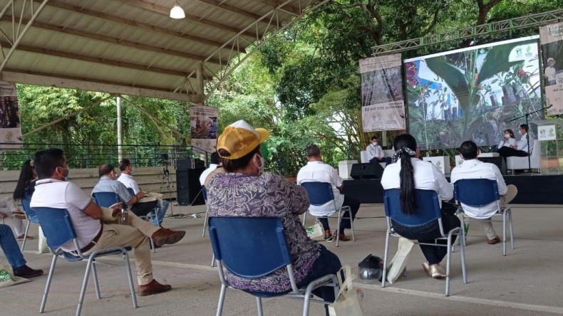 Cortolima presentó gestión ambiental del 2020 en audiencia pública