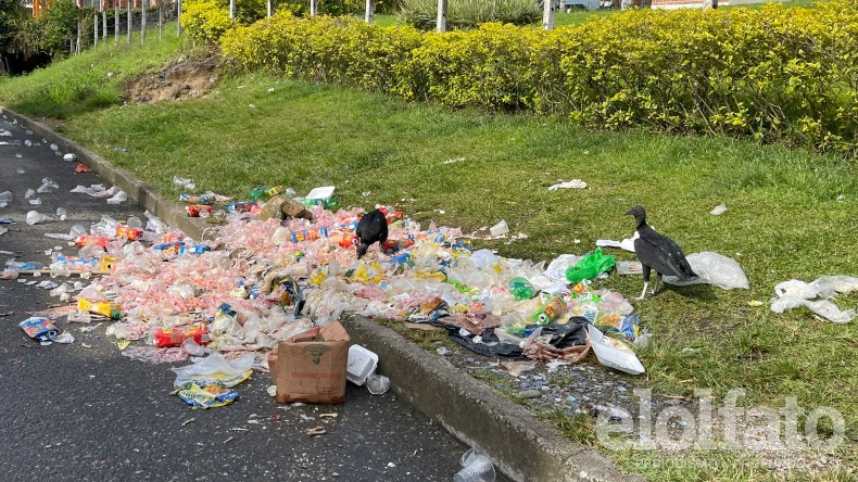 ¡Qué vergüenza! Calle 64 de Ibagué amaneció convertida en un basurero 