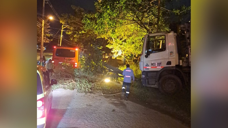 Camión recolector de basura se quedó sin frenos, saltó un separador y derribó un árbol y un poste de luz en Ibagué