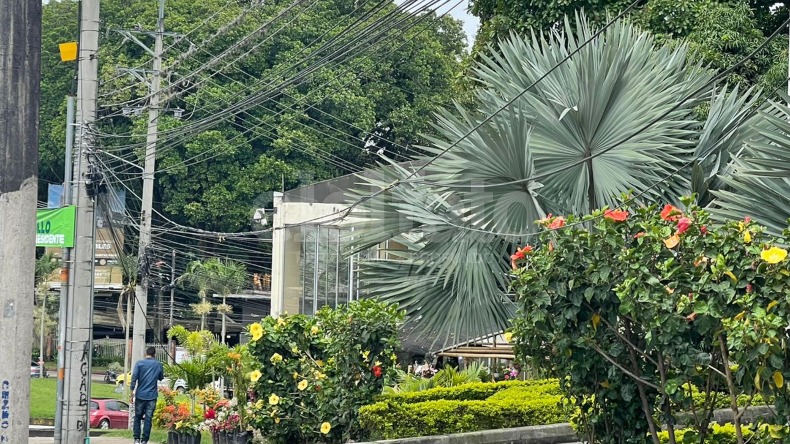 Cables a baja altura podrían provocar un accidente en la avenida Ambalá: denuncian ciudadanos