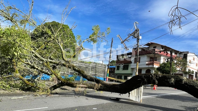 Fuerte aguacero provocó la caída de árboles en el Hospital Federico Lleras sede La Francia