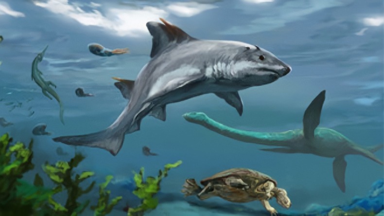Descubren tiburón fósil en Colombia que habitó la tierra hace 135 millones de años