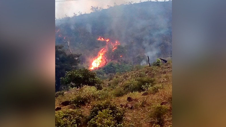 Incendio forestal ha consumido 150 hectáreas de vegetación en Prado 