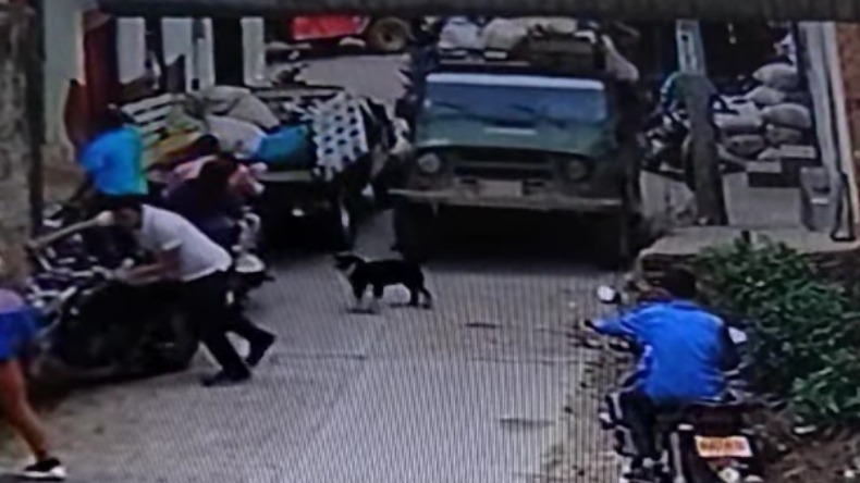 Conmoción por video de un perro arrollado por un jeep al sur del Tolima