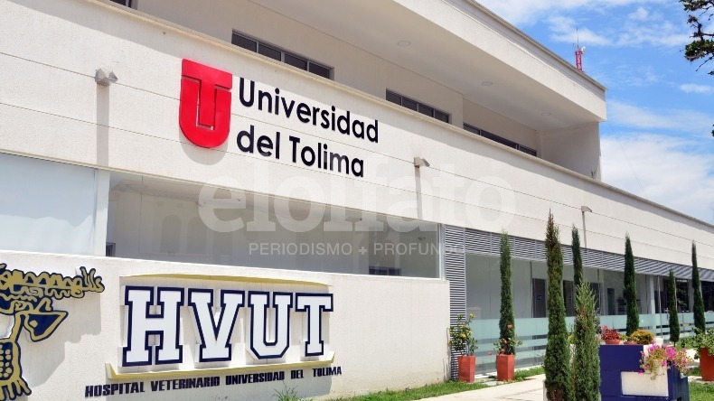 ¿Buscando trabajo? Hospital Veterinario de la Universidad del Tolima abrió vacantes