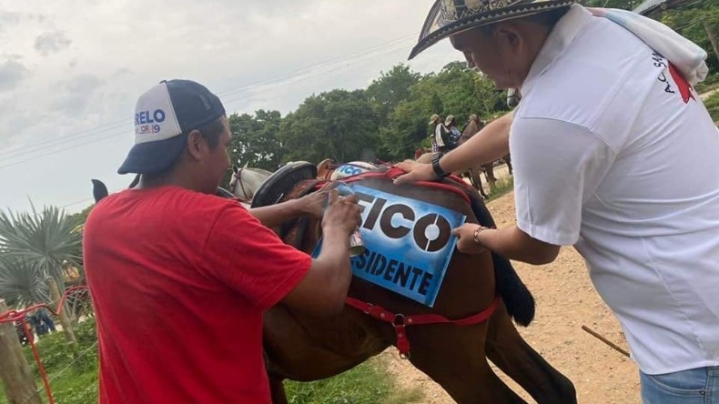 "Nadie que practique maltrato animal puede hacer parte de mi campaña": Federico Gutiérrez sobre polémica por caballos pintados con su nombre