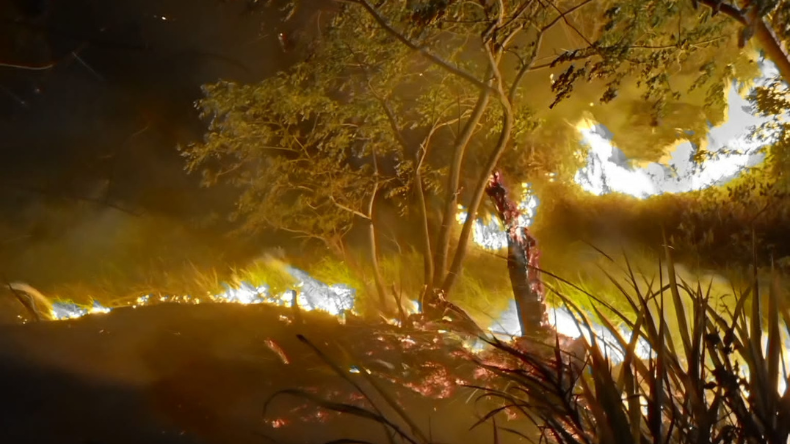 En el Tolima van más de 1000 hectáreas boscosas incineradas en el último mes