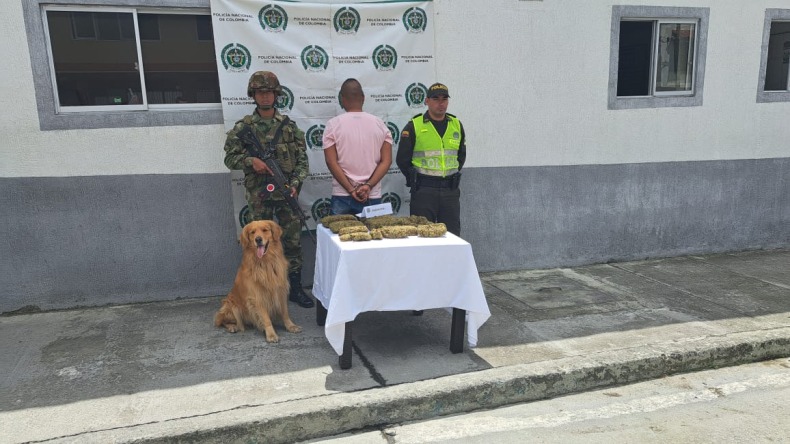 Canino descubrió a sujeto que viajaba en bus por el Tolima con 4.000 dosis de marihuana