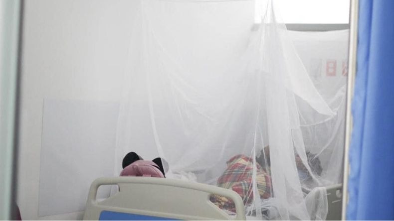 Una adulta mayor falleció en Ibagué por dengue 