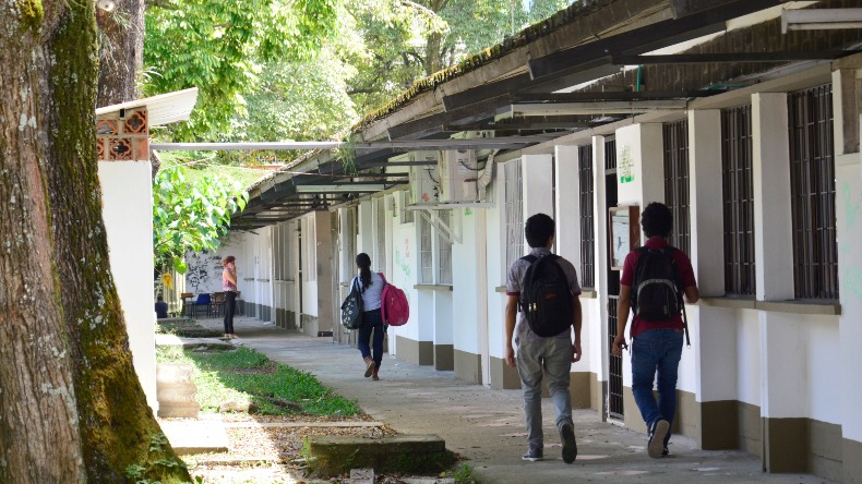 El Fondo Educativo: la gran apuesta para brindar universidad gratis a la población más vulnerable del Tolima 