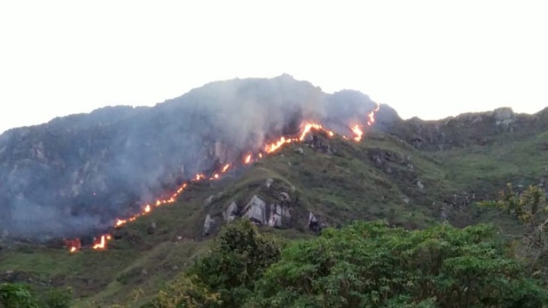 Emergencia en Melgar: autoridades atienden incendio forestal 