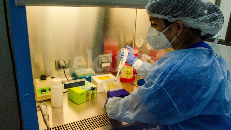 Tolima registró 230 nuevos contagios por COVID-19, informó el Instituto Nacional de Salud