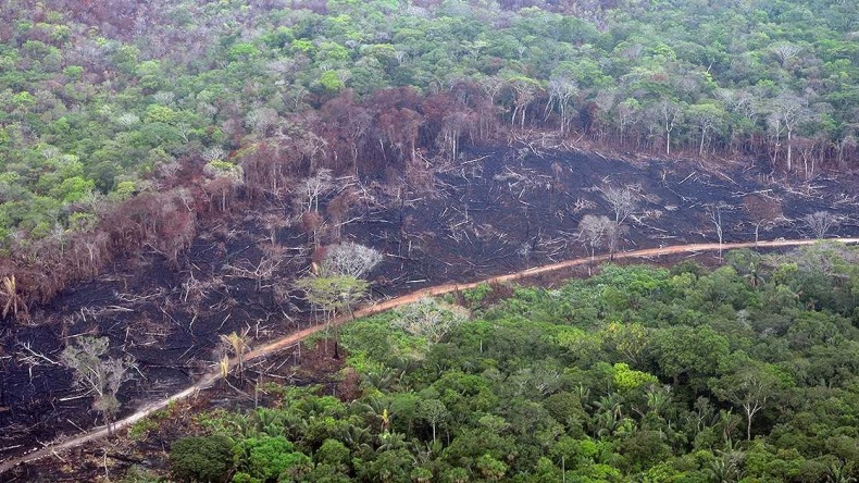 Deforestación y calentamiento global cambiaron profundamente temperaturas y precipitaciones de Colombia, según estudio   