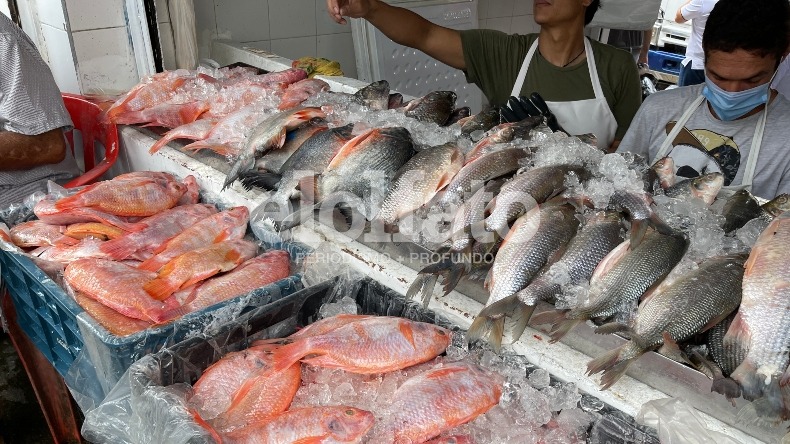 Noticia para su bolsillo: subió el precio del pescado para esta Semana Santa en Ibagué