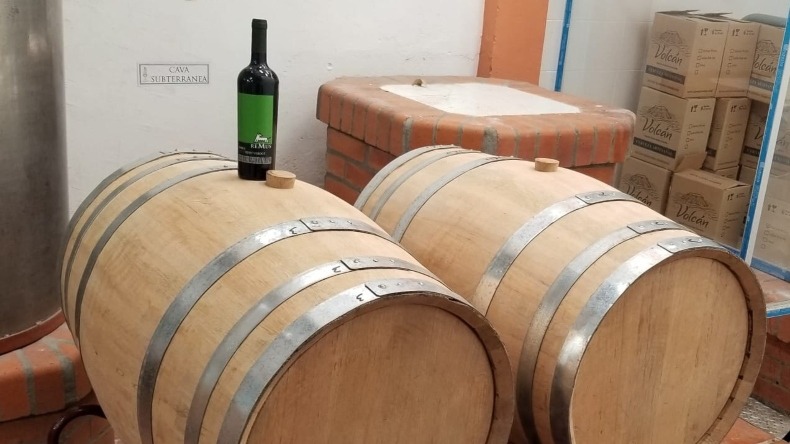 Los mejores vinos del país se preparan con uvas cosechadas en el Tolima
