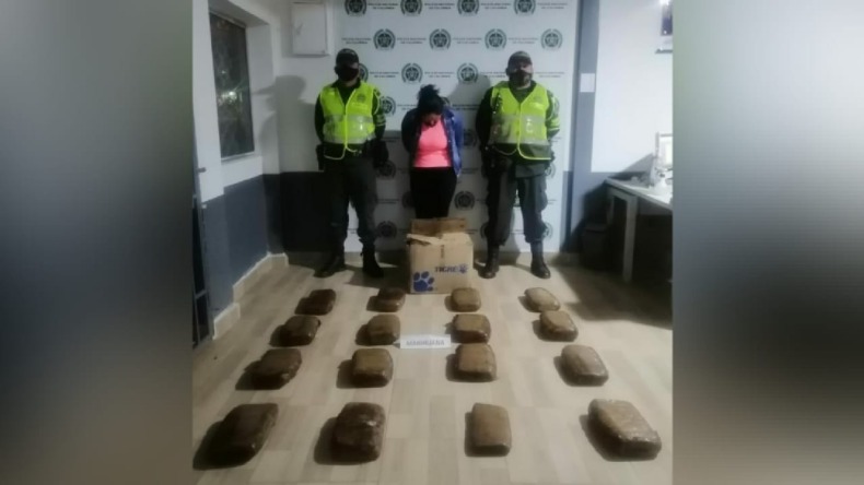 Mujer fue sorprendida transportando 15 kilos de marihuana hacia Ibagué