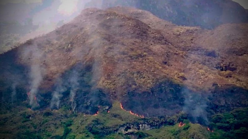 Incendio afectó 60 héctareas del cerro 'El Rusio', ubicado al oriente del Tolima 