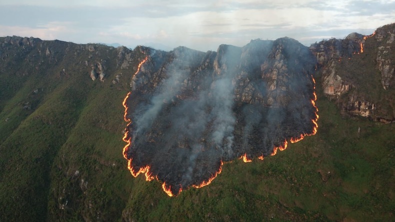 Cerca de 200 hectáreas de vegetación afectadas por incendio forestal en Melgar 