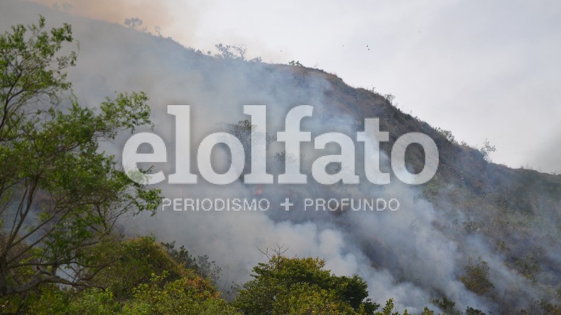 16 incendios forestales se han desatado en el mes de julio en Ibagué
