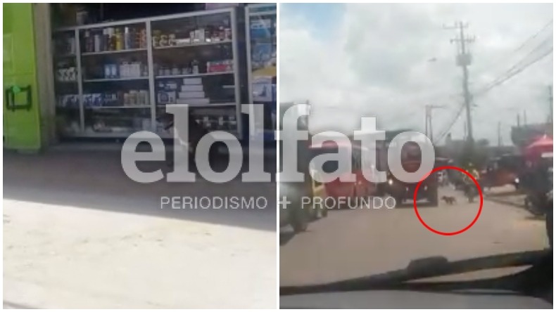 Presunto caso de abandono animal fue captado en video por ciudadanos en El Salado de Ibagué