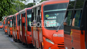 “Seguirán trabajando a pérdidas”: concejal Beltrán sobre alza del pasaje de bus