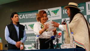 Indígenas crean primer fertilizante a base de hoja de coca en Colombia