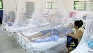 Cifras de dengue pasaron de 3.000 en 2022 a 10.800 este año