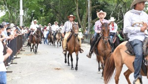 Las condiciones que impuso la Alcaldía de Ibagué para permitir la cabalgata