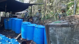 Dos laboratorios de coca en el Putumayo son destruidos por militares del Tolima