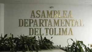 Tribunal confirmó condena contra extesorero de la Asamblea del Tolima 