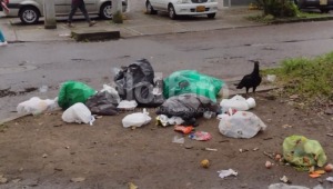 "El camión se demora y los 'chulos' rompen las bolsas": ciudadanos denuncian regueros de desechos en Ibagué