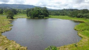Procuraduría exige a Cortolima medidas urgentes para proteger el segundo humedal más grande del Tolima