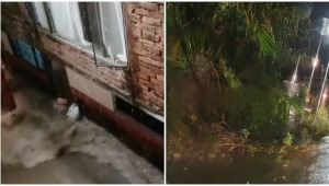 Dos menores de edad acabaron sepultados por un deslizamiento de tierra en el barrio Las Delicias de Ibagué