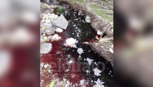 Un río que se tiñe de rojo: ciudadanos denuncian posibles prácticas contaminantes por parte de una empresa en Ibagué