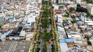 Alcaldía aseguró que sembrará más de 2.100 árboles por la carrera Quinta como medida de protección ambiental