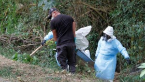 En una finca de Ibagué hallaron un cuerpo en estado de descomposición