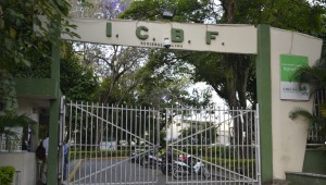 Contraloría General pone la lupa en contratos de alimentación del Icbf en el Tolima