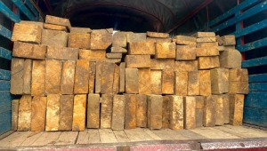 Incautan cargamento de madera ilegal en las afueras de Ibagué