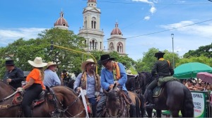 Procuraduría exige reglamentación de cabalgatas a alcaldes del Tolima
