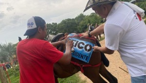 "Nadie que practique maltrato animal puede hacer parte de mi campaña": Federico Gutiérrez sobre polémica por caballos pintados con su nombre