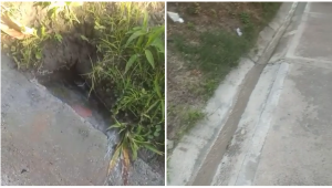 Daño de un tubo genera desperdicio de agua potable en Nueva Castilla