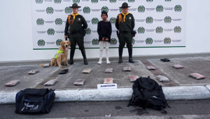 Detenida en Ibagué mujer que viajaba con 15.000 dosis de marihuana 