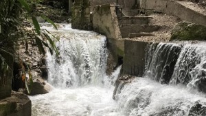Tras fallo de acción popular, habitantes de Chaparral tendrían suministro de agua constante 