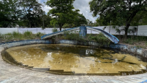 Piscinas del Parque Deportivo se están convirtiendo en un foco de dengue para la ciudad 