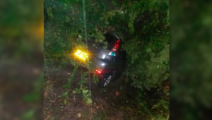 Vehículo cayó a un abismo y fue abandonado por su conductor en la antigua vía al Totumo en Ibagué